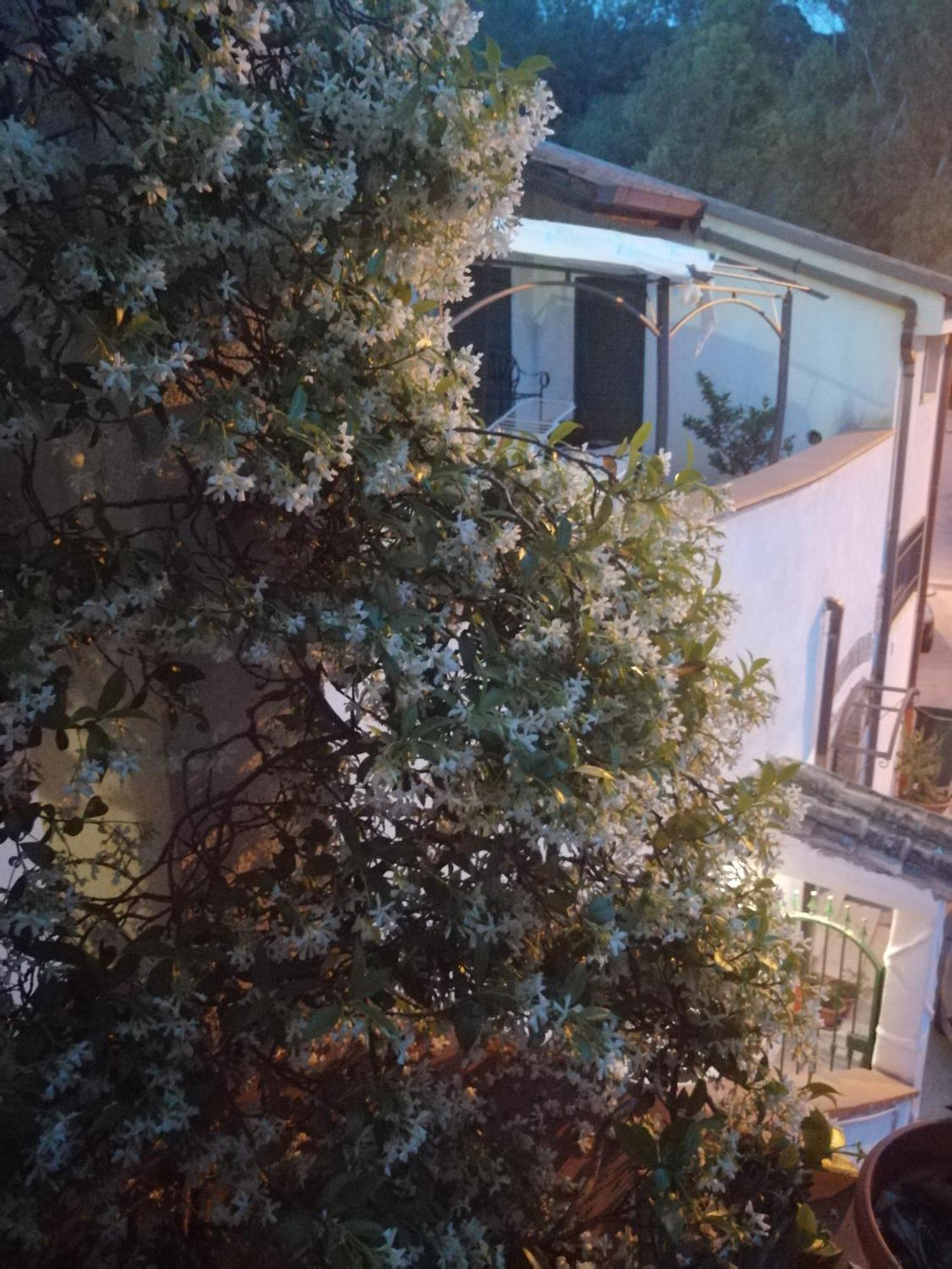B&B Moscani ซาแลร์โน ภายนอก รูปภาพ